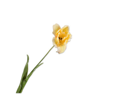 Silk ka tulp steel geel