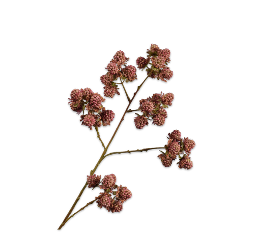 Silk ka braamtak mauve