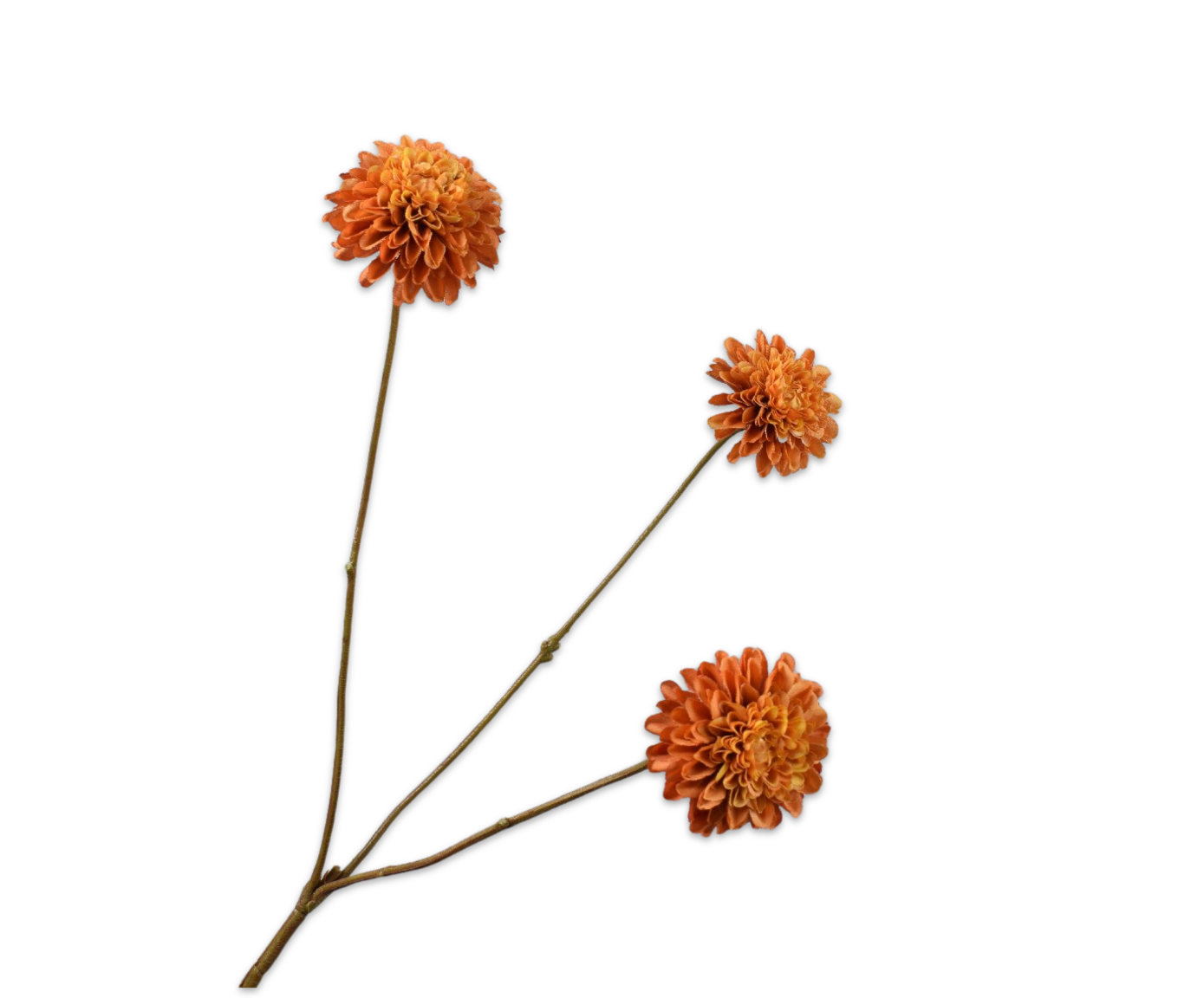 Silk ka dahlia tak oranje