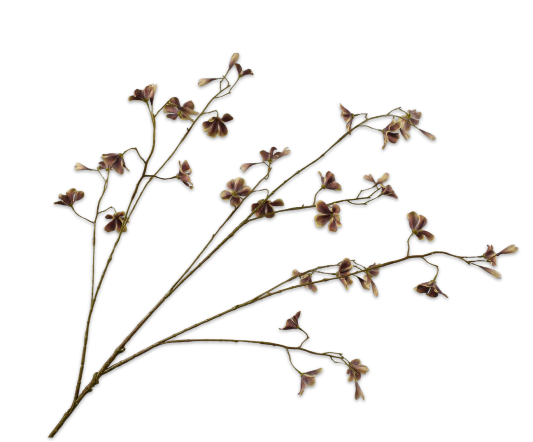 Silk ka tak begonia bruin/groen
