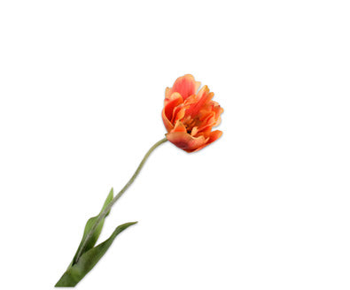 Silk ka tulp steel oranje/rood