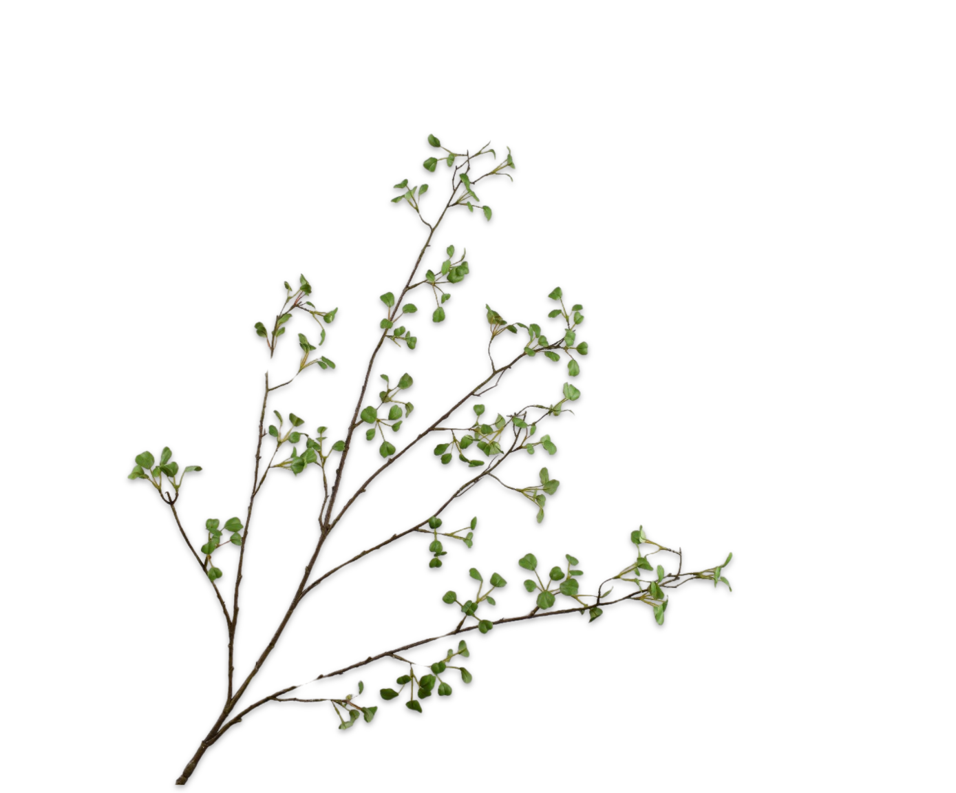 Silk ka bladtak groen