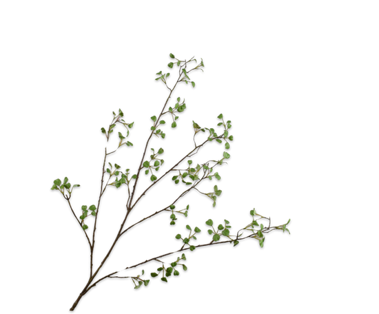Silk ka bladtak groen