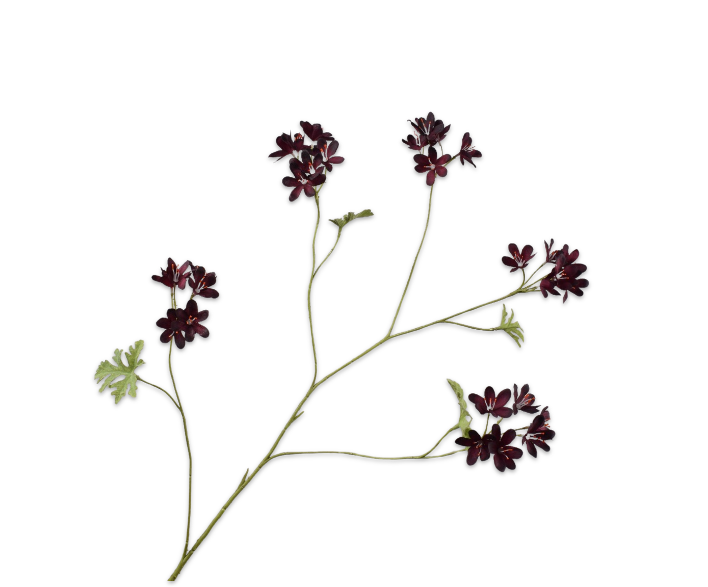 Silk ka geranium bordeaux