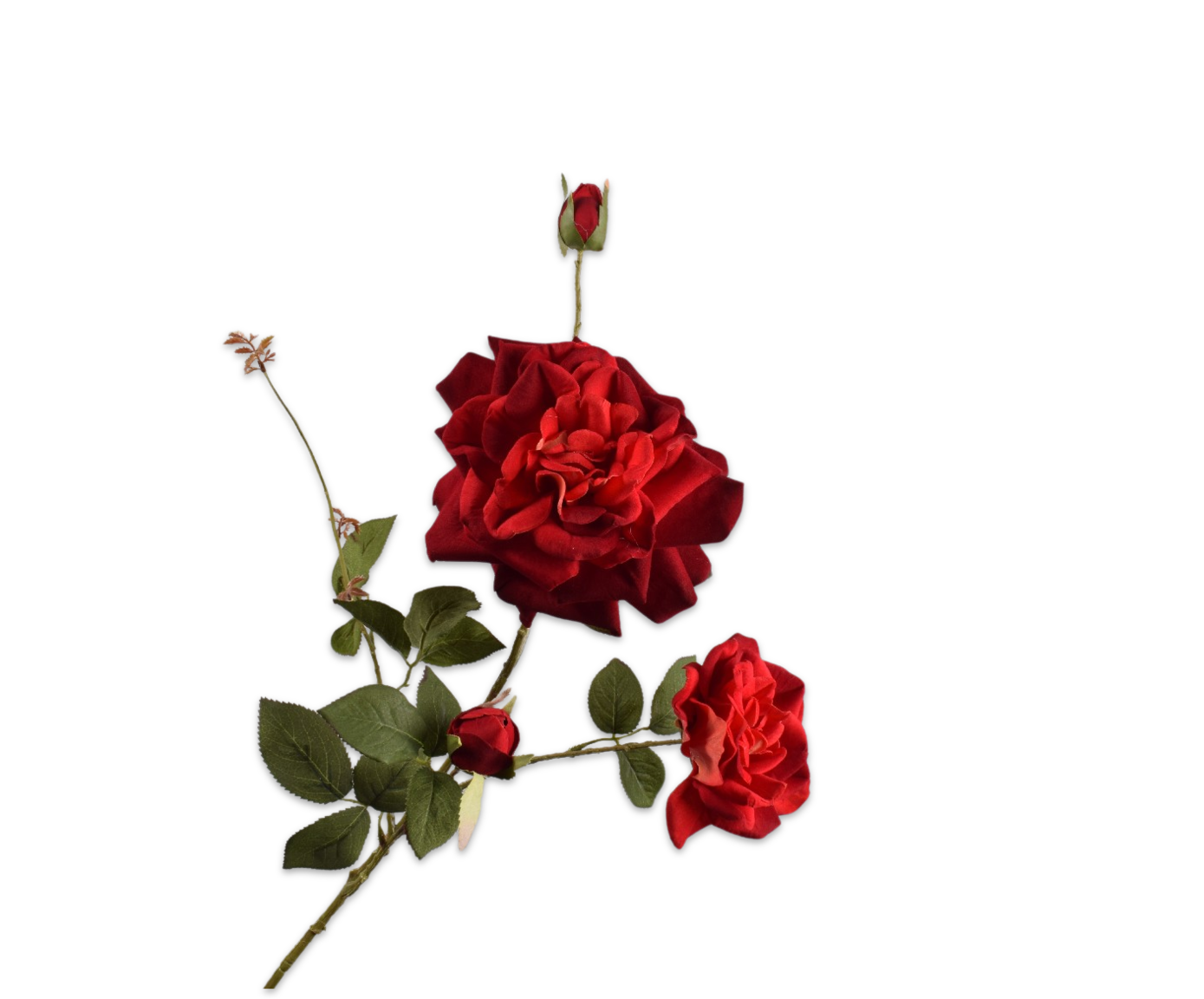 Silk ka Roos tak rood