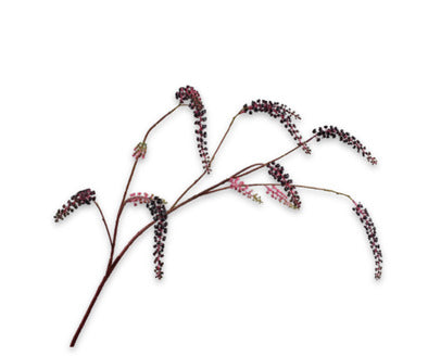 Silk ka karmozijnbes