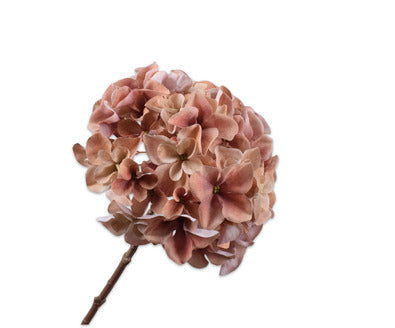 Silk ka Hortensia tak mauve