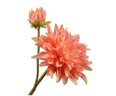 Silk ka dahlia perzik real touch