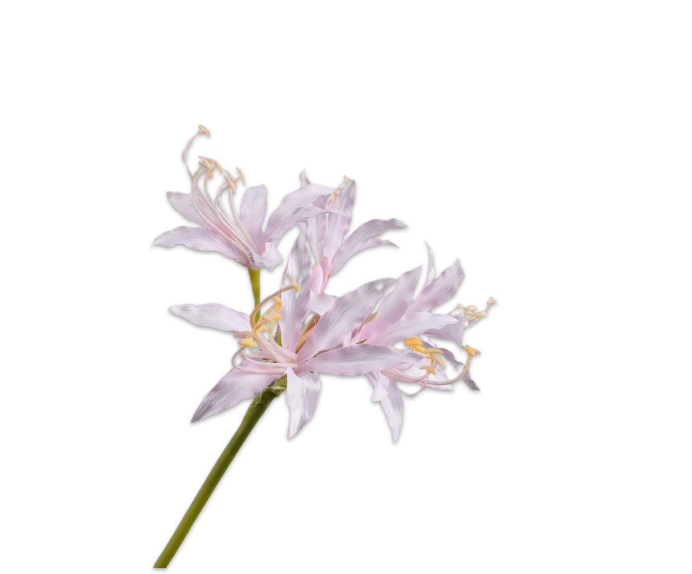 Silk ka nerine steel lichtroze
