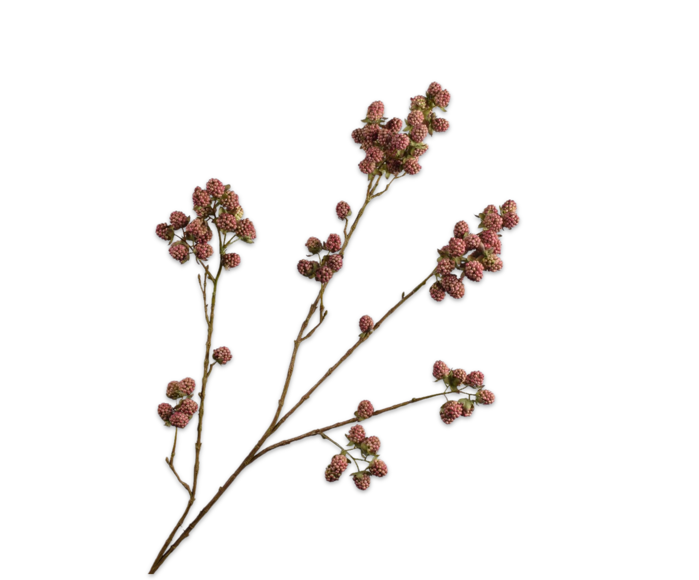 Silk ka braamtak mauve groot