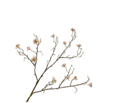 Silk ka bloesem tak perzik