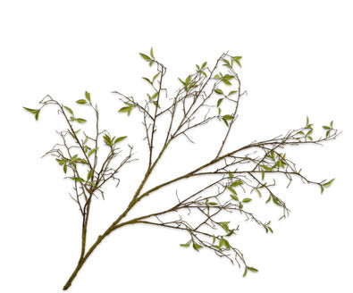 Silk ka wilgentak groen