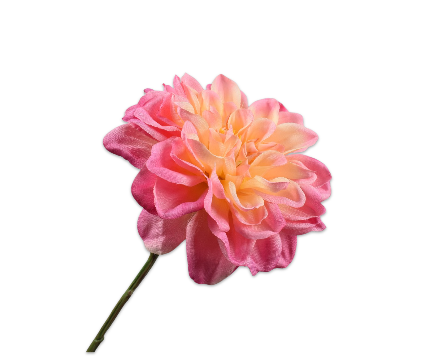 Silk ka dahlia tak geel/roze