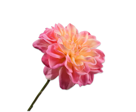Silk ka dahlia tak geel/roze