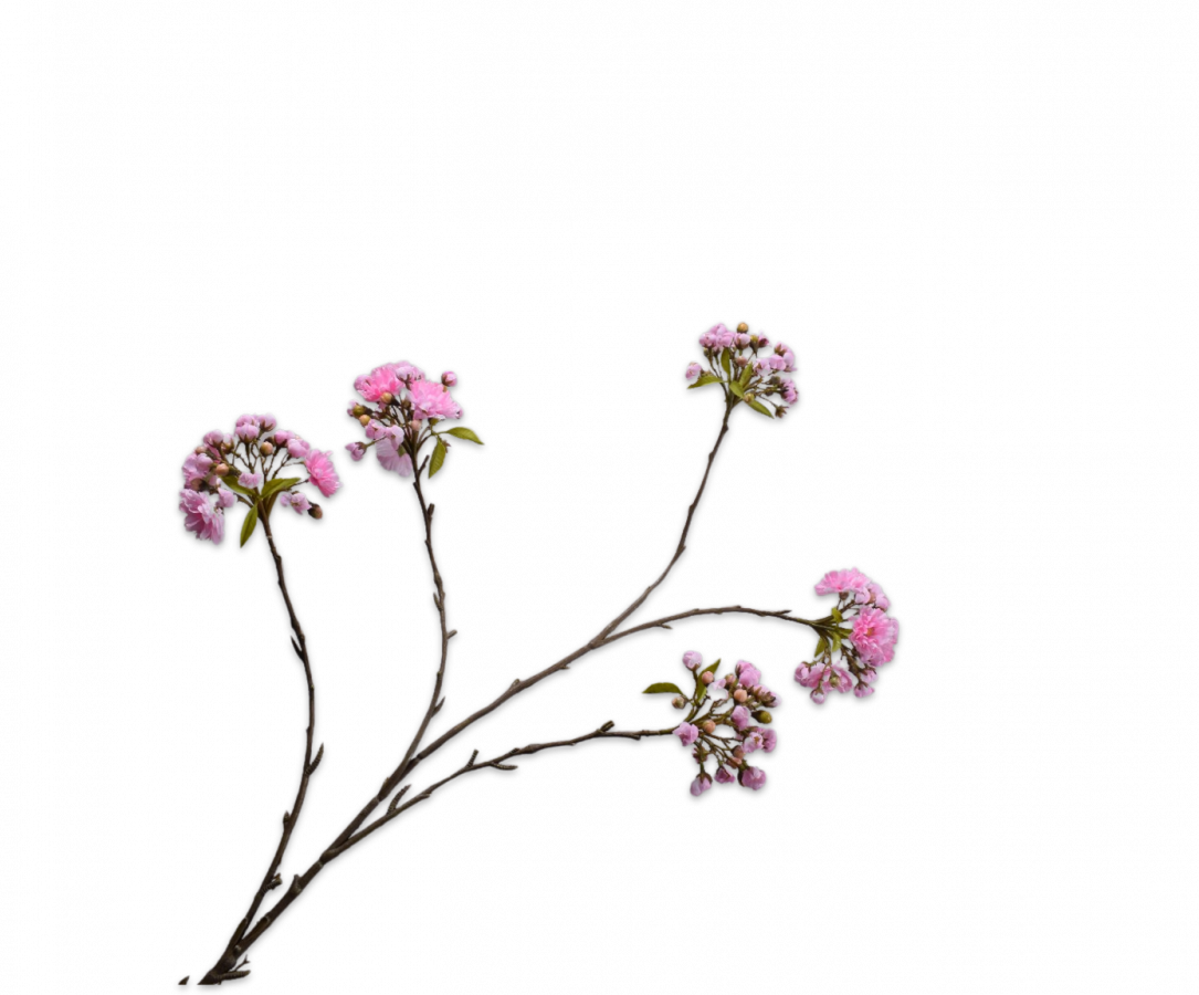 Silk ka Bloesemtak roze