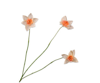 Silk ka narcis tak wit/roze
