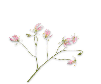 Silk ka gloriosa tak roze/creme