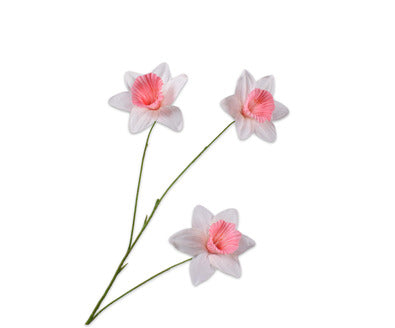 Silk ka narcis tak wit/roze