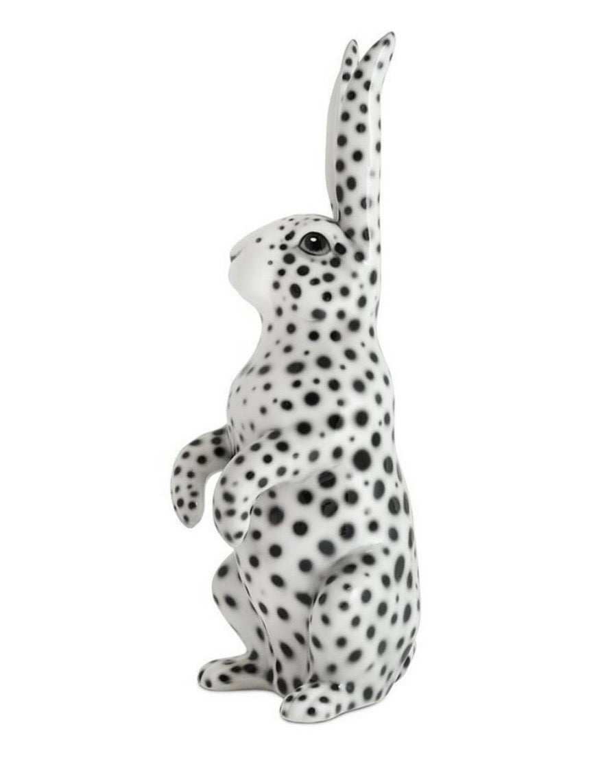 Dalmatiër konijn