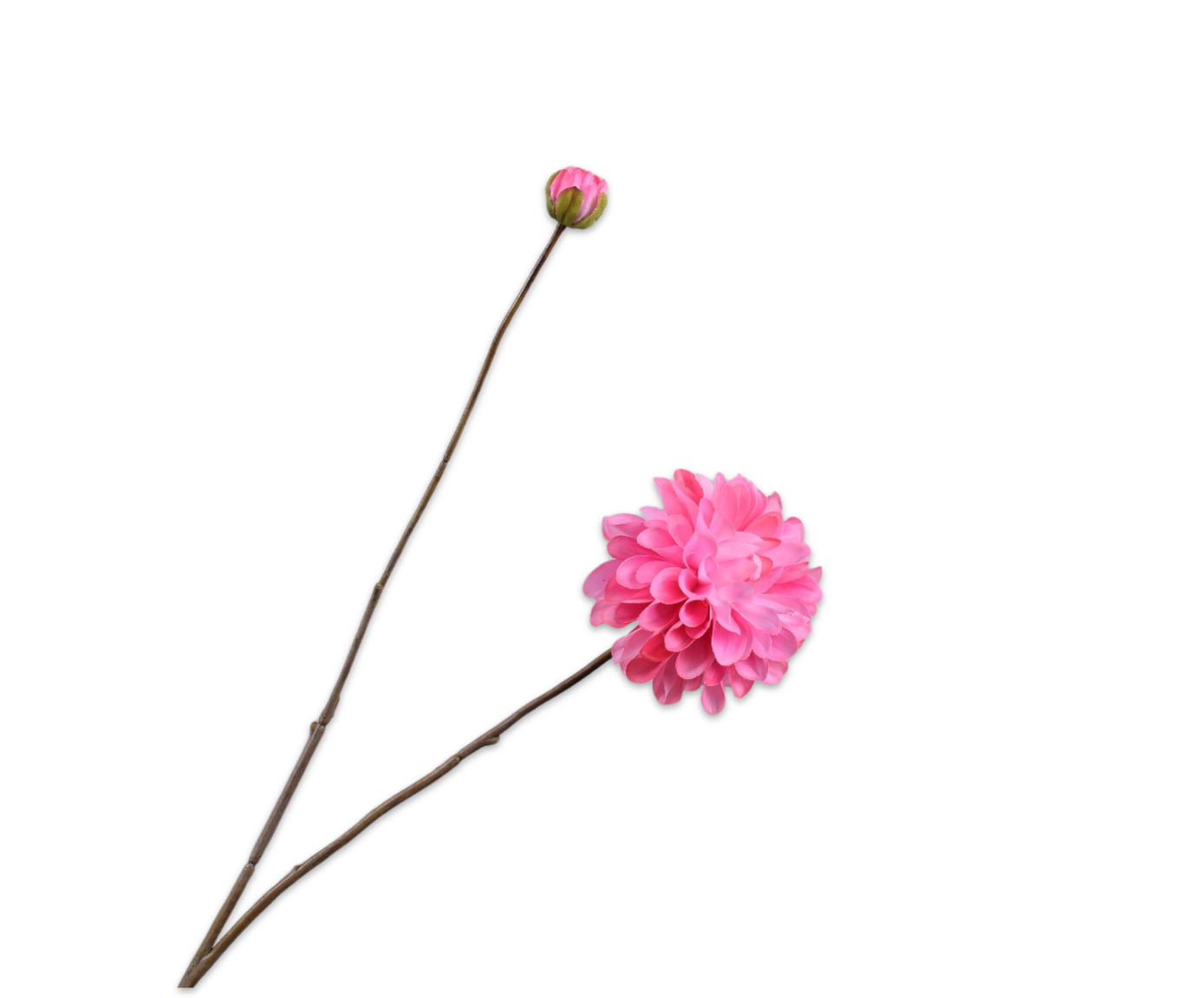Silk ka real touch dahlia tak roze