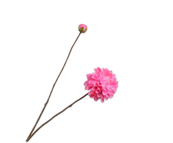 Silk ka real touch dahlia tak roze