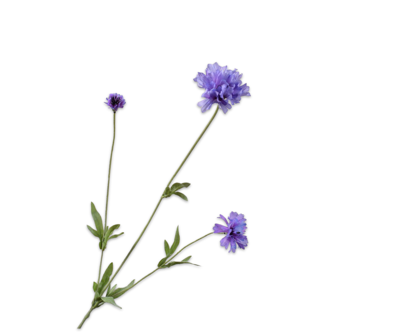 Silk ka korenbloem tak lavendel