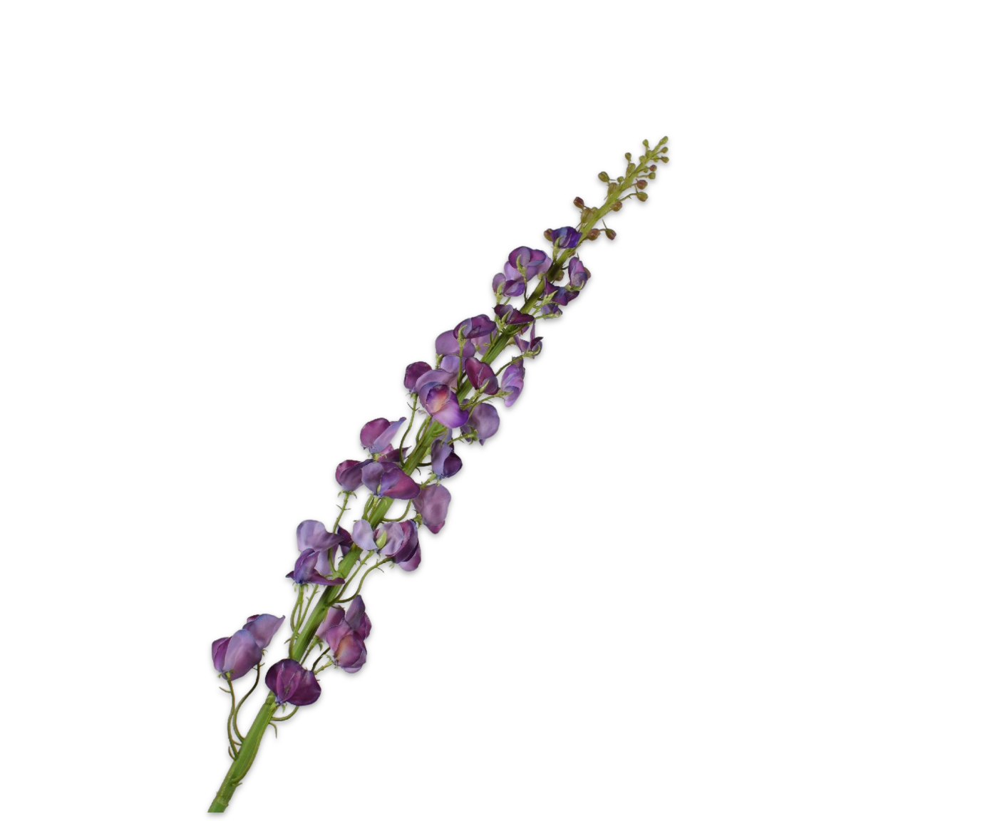 Silk ka lathyrus paars