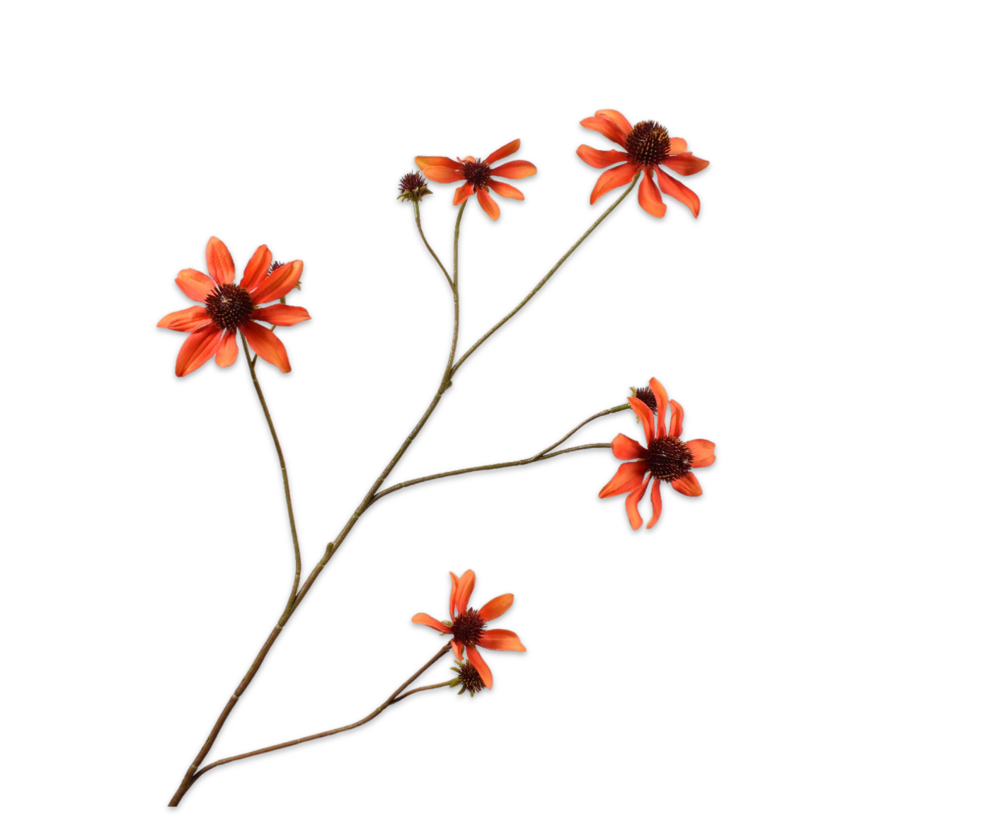 Silk ka rudbeckia tak oranje
