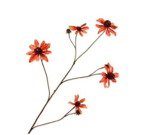 Silk ka rudbeckia tak oranje