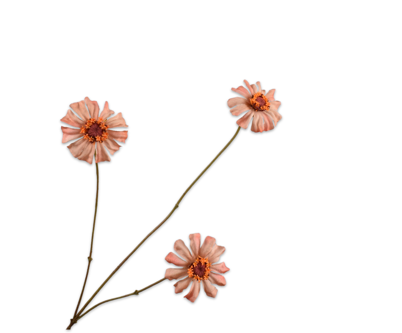 Silk ka zinnia zalm