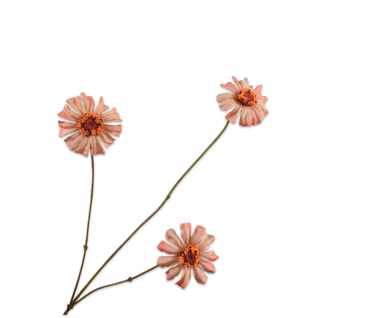 Silk ka zinnia zalm