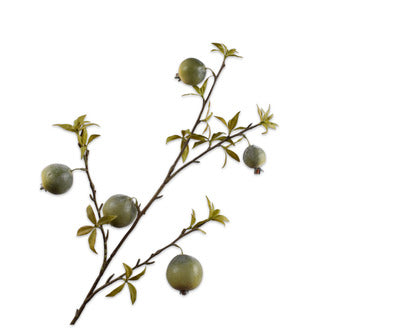 Silk ka granaatappel groen