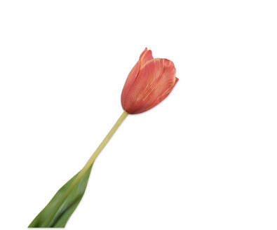 Silk ka tulp steel oranje/geel