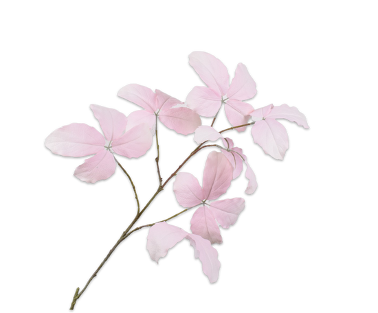Laad afbeelding in Galery viewer, Silk ka blad tak roze