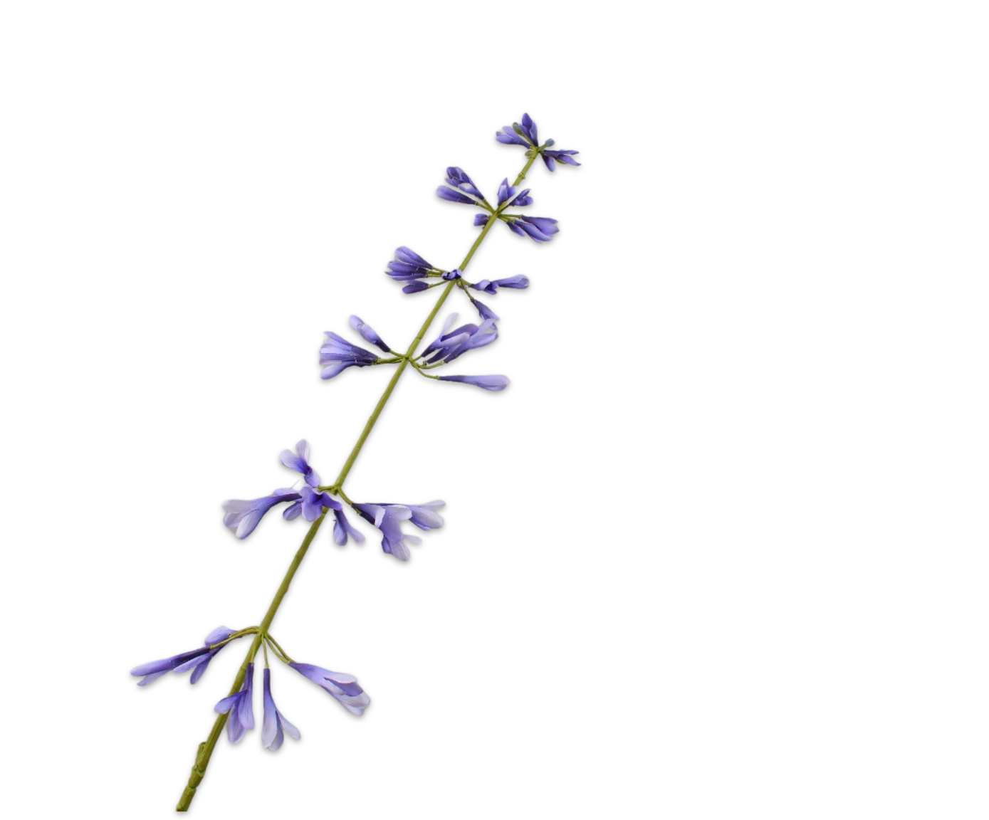 Silk ka salvia blauw