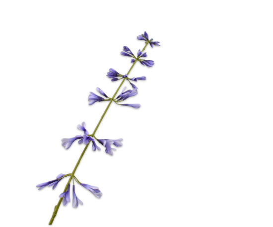 Silk ka salvia blauw