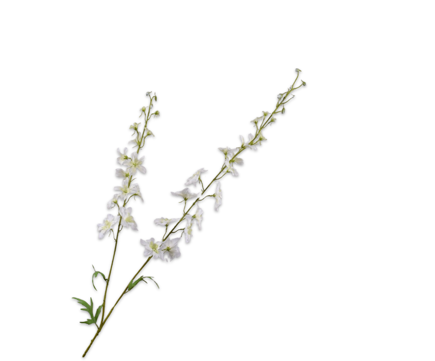 Silk ka delphinium wit