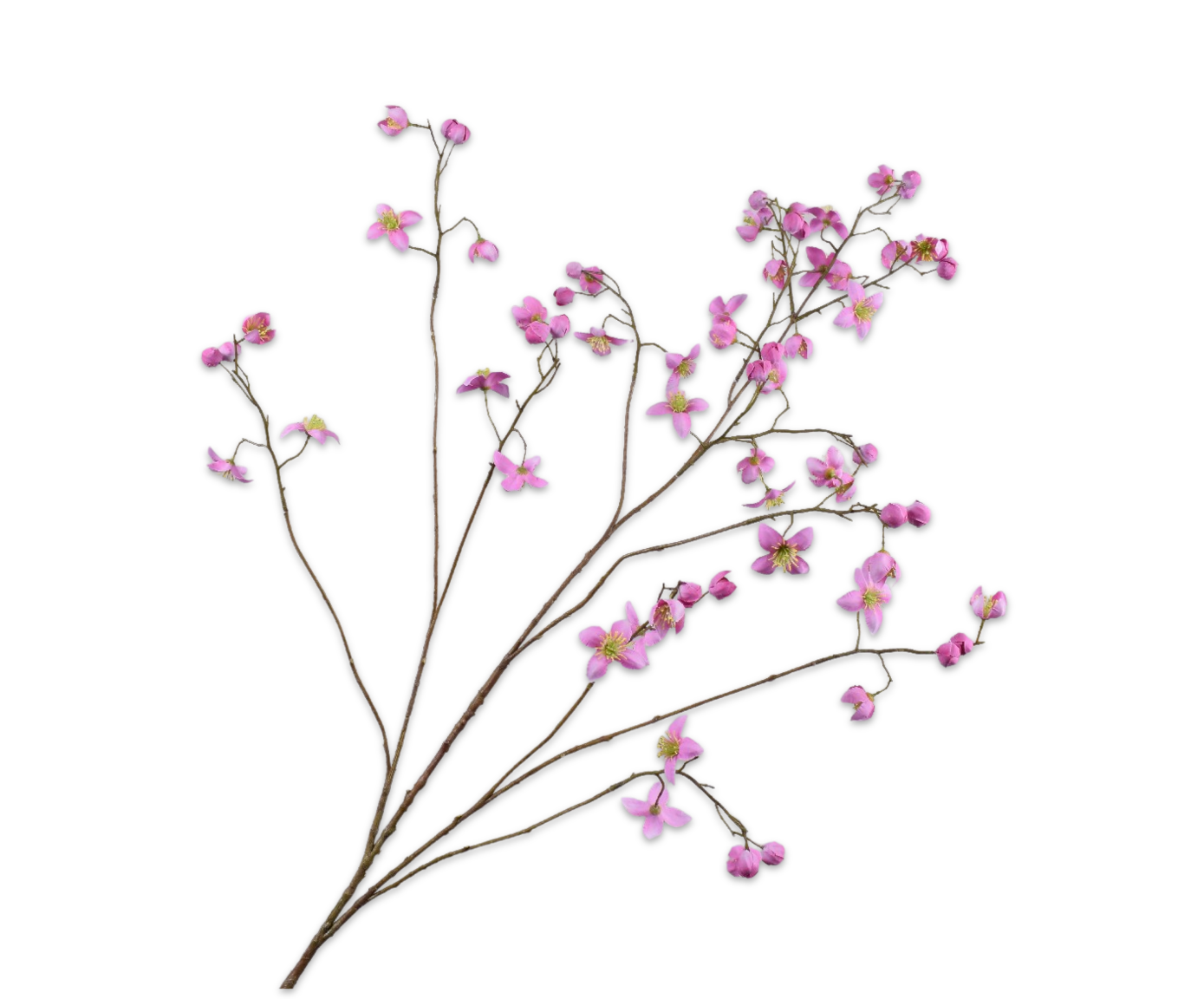 Silk ka thalictrum roze