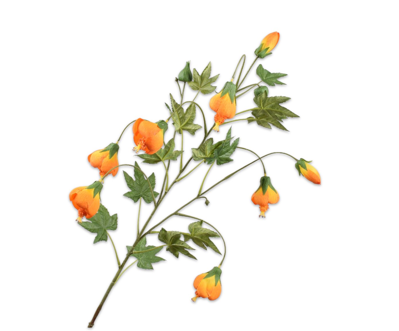 Laad afbeelding in Galery viewer, Silk ka abutilon oranje