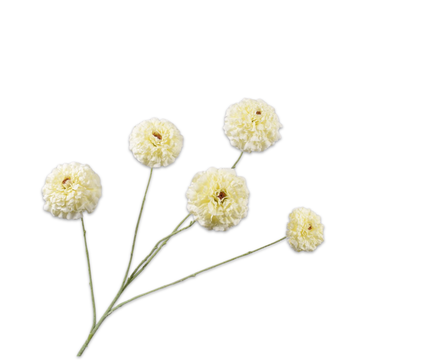 Load image into Gallery viewer, Silk ka tagetes crème