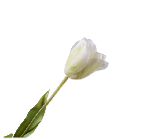 Load image into Gallery viewer, Silk ka tulp groen/wit soft touch