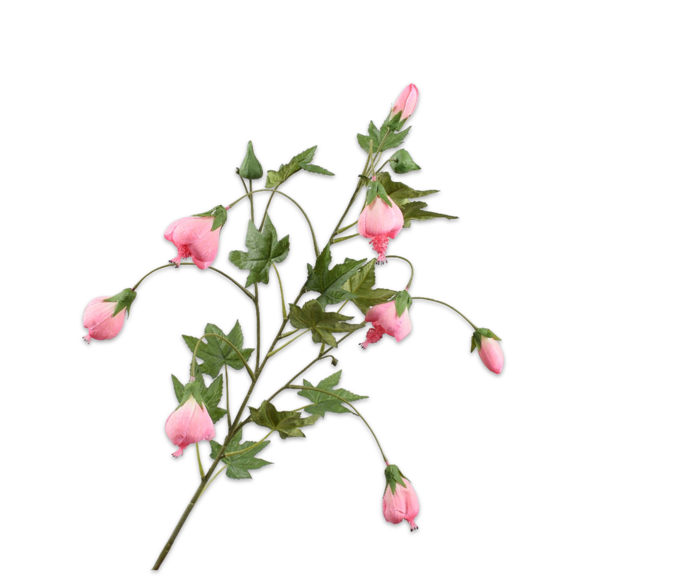 Silk ka abutilon roze