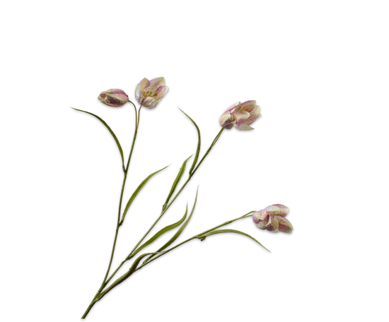 Laad afbeelding in Galery viewer, Silk ka fritillaria roze
