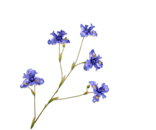 Silk ka iris tak blauw