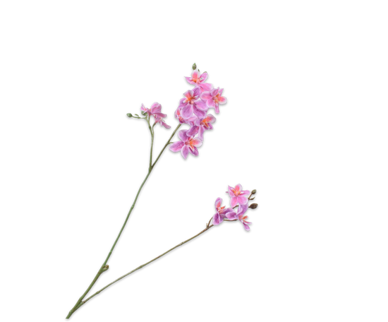 Laad afbeelding in Galery viewer, Silk ka orchidee tak lila