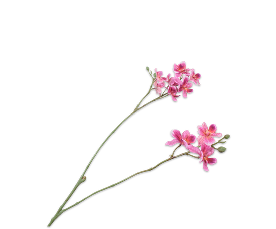 Laad afbeelding in Galery viewer, Silk ka orchidee tak roze