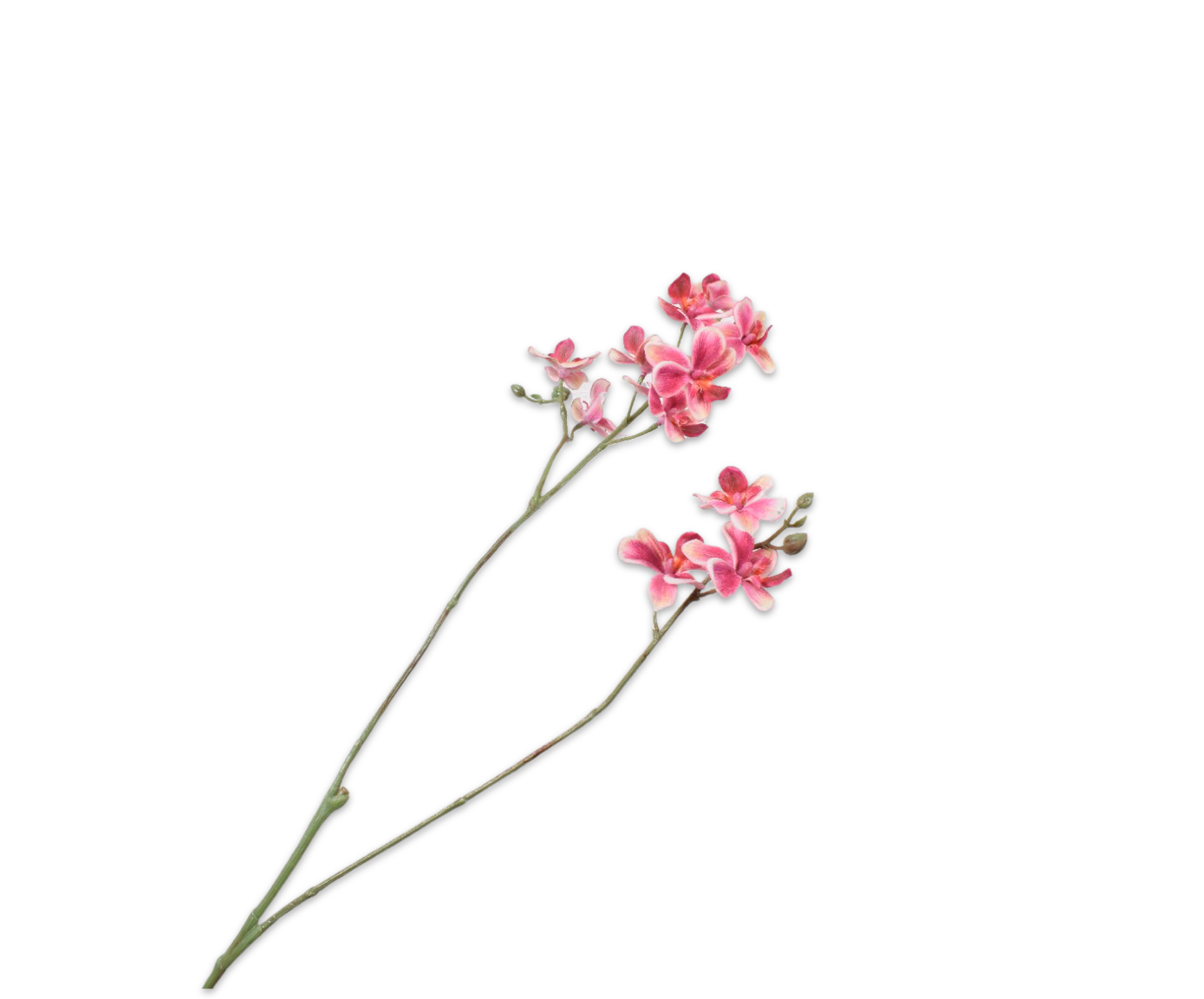 Laden Sie das Bild in den Galerie-Viewer, Silk ka orchidee tak beauty