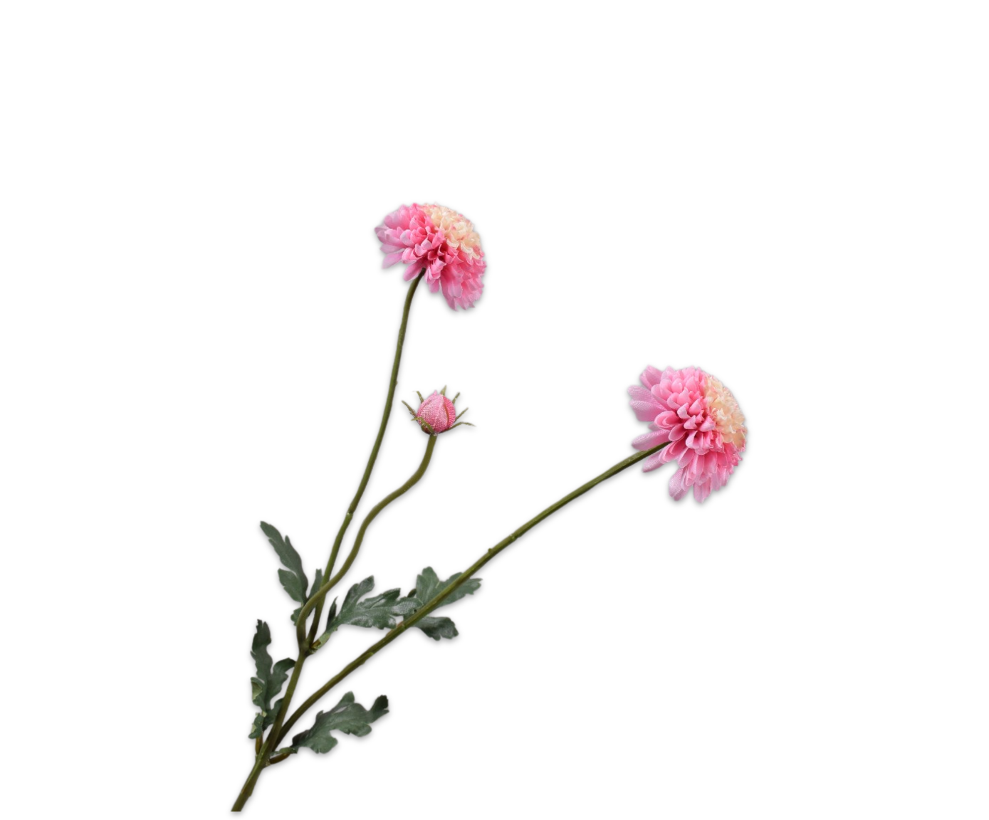 Silk ka chrysant tak roze/cr