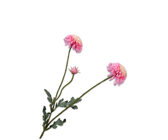 Silk ka chrysant tak roze/cr