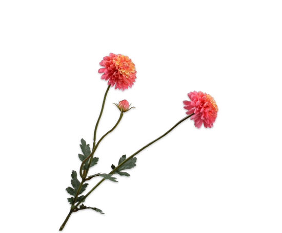 Silk ka chrysant tak roze/geel